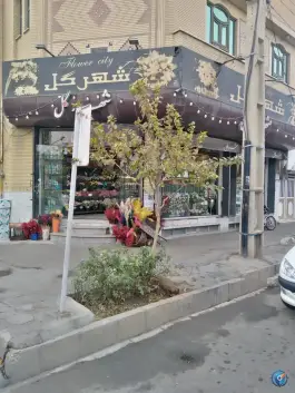 گل فروشی شهر گل، اراضی بهداری، قم