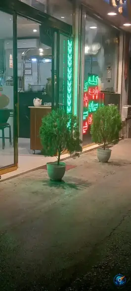 عکس طباخی لوکس طلایی، محله عامل، مشهد 3