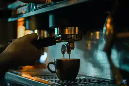 عکس کافه ژابیز، بلوار بهارستان، تبریز 2