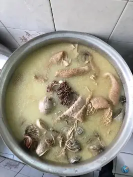 عکس طباخی منوچهر، محله کارون جنوبی، تهران 9