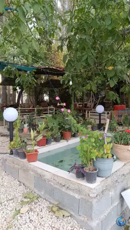 عکس های کافه ماهی کباب چشمه ی بهرغان بلوار ششپیر سپیدان