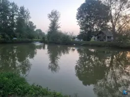 استخر ماهی محمود شفیع نژاد، رودبنه، لاهیجان