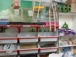 عکس دنیای پرندگان پاروت، زنبیل آباد، قم 2
