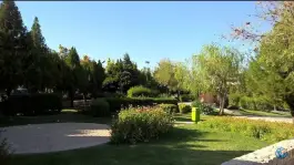 عکس پارک امام رضا، گلدشت معالی آباد، شیراز 8