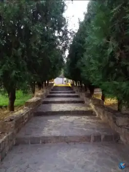 عکس پارک امام رضا، گلدشت معالی آباد، شیراز 9