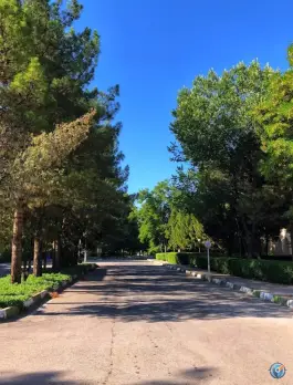 عکس دانشگاه آزاد اسلامی شهید حاج قاسم سلیمانی کرمان 2