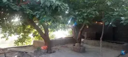 عکس کباب سرای چهارفصل، جاده یاسوج - مصیری، یاسوج 2