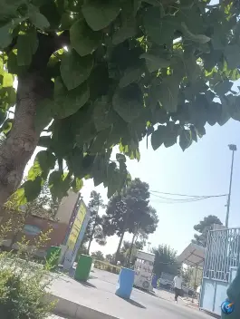 پارکینگ عمومی باغ رضوان مصلی تهران