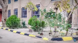 عکس هنرستان پسرانه دوره دوم سمائیان محله هفده شهریور تهران 3