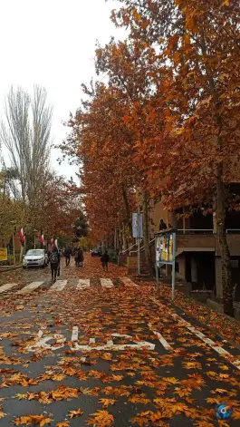 عکس دانشکده شماره ۲ مهندسی عمران، محله علم و صنعت، تهران 1
