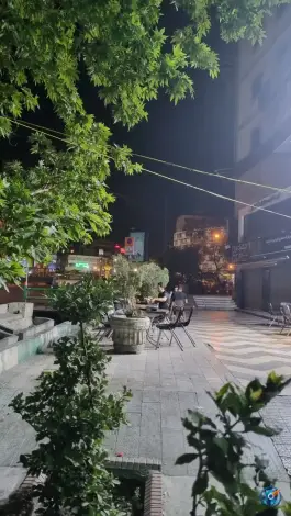 عکس قدقد سوخاری، خیابان ولیعصر، تهران 3
