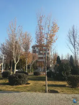 فضای سبز نگارستان، محله بهارستان، اصفهان