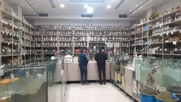 عکس عطاری اعتصامی، محله ماشاده، اصفهان 2