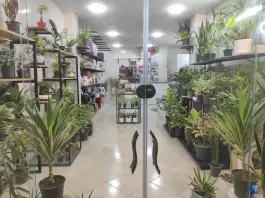 عکس گل برگ، محله ملاصدرا، اصفهان 2