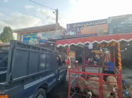 قصابی و کبابی ماهان، بخش انگوت، گرمی