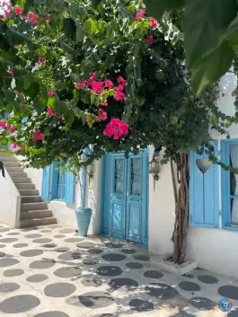 عکس کافه رستوران رشت، رشت - انزلی، رشت 4