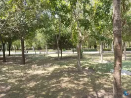 عکس پارک ایثارگران پل بزرگمهر اصفهان 3