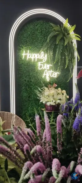 عکس گل رومی توحید میانی اصفهان 2