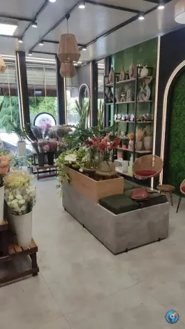 عکس گل رومی توحید میانی اصفهان 3