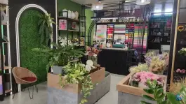 عکس گل رومی توحید میانی اصفهان 4