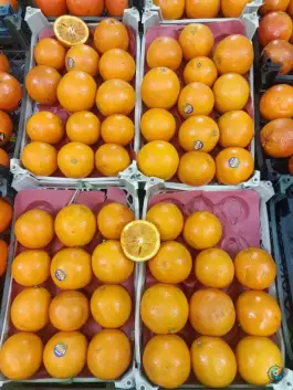 عکس میوه و سبزیجات پیرحاج، اندیشه، اصفهان 2