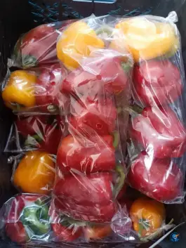 عکس میوه و سبزیجات پیرحاج، اندیشه، اصفهان 3