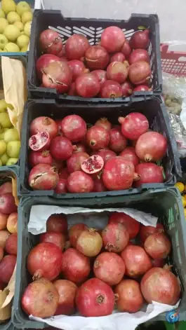 عکس میوه و سبزیجات پیرحاج، اندیشه، اصفهان 10