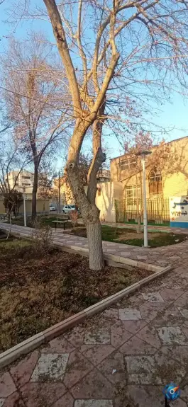 عکس بوستان رضوی، محله طوقچی، اصفهان 2