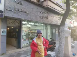 عکس هتل نادری، محله فردوسی، تهران 5