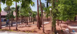 کانون پرورش فکری کودکان و نوجوانان مرکز شماره ۵ شیراز، محله بیست متری امام خمینی، شیراز