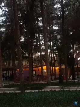عکس دانشگاه سیستان و بلوچستان، زیبا شهر، زاهدان 4