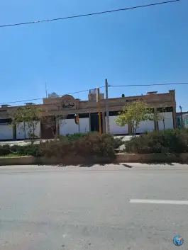عکس قهوه نوشاد، دشت چنار، شیراز 1