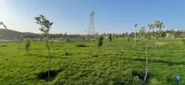 عکس پارک یاس، کوی امام، اصفهان 2