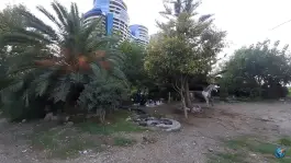 عکس پلاژ پردیس دبیران کلارآباد 4