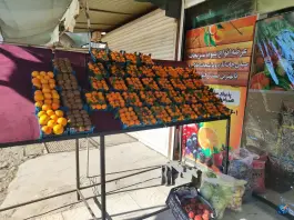 عکس میوه سرای لوکس، بهارستان، اصفهان 6