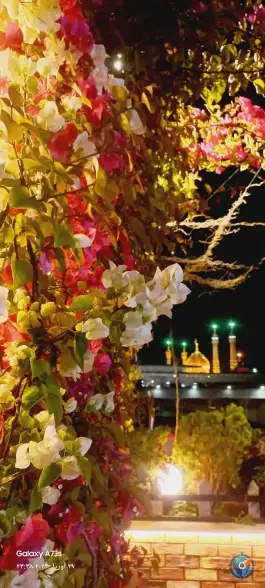 عکس کافی شاپ صادقیه، ارج، قم 3