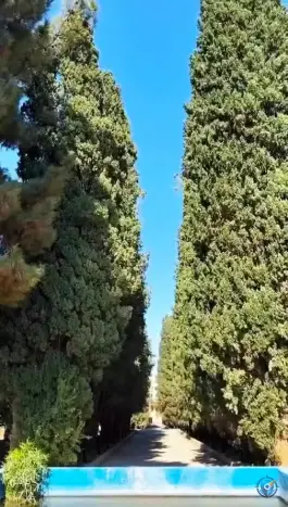 عکس عمارت و باغ رحیم آباد، محله رحیم آباد، بیرجند 5
