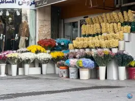 گل کاملیا غدیر اصفهان