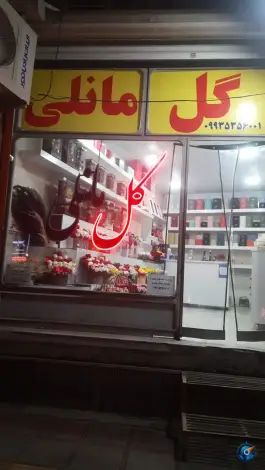 گل مانلی باغ شریفی قم