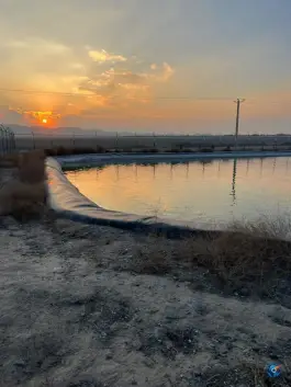عکس استخر باغستان شاندیز مشهد 3