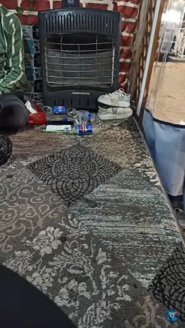 عکس باغ محتشم، طرقبه، مشهد 10