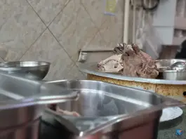 عکس طباخی قصر، محله نیلوفر، تهران 4