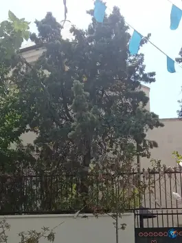 کلیسای گریگور محله کرمان تهران