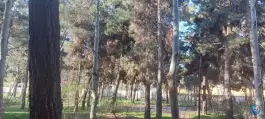 عکس باغ رستوران بهشت پنهان، لویزان، تهران 9