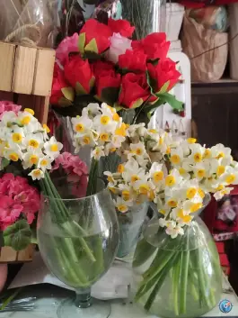 عکس گل فروشی سنبل، خیابان امامزاده ابراهیم، قم 2