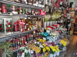 عکس گل فروشی سنبل، خیابان امامزاده ابراهیم، قم 3