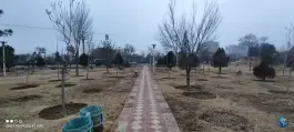 عکس پارک کوروش شکوفه اصفهان 6