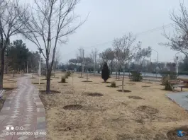عکس پارک کوروش شکوفه اصفهان 9