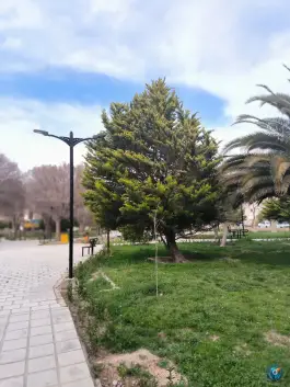 بوستان صاحب الامر، سفیر شمالی، شیراز