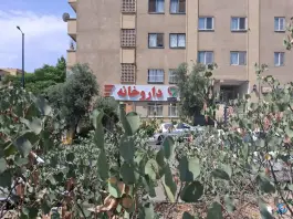 عکس داروخانه دکتر میرزاجانی، آبشار، تهران 1